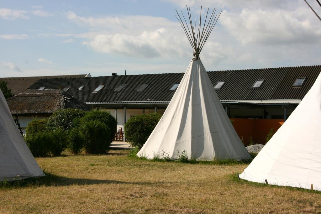 Storchencamp Gaestehaus Purbach Purbach am Neusiedlersee Exterior photo