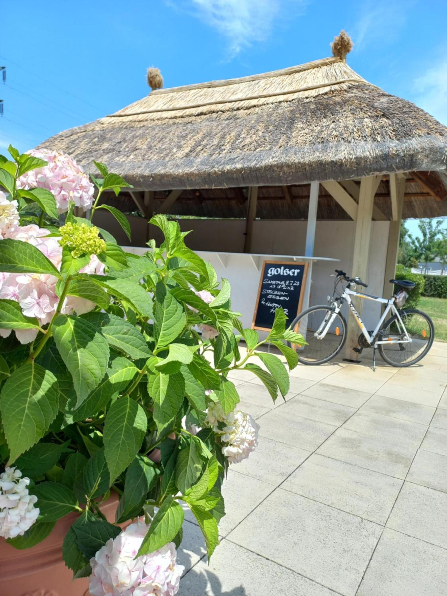 Storchencamp Gaestehaus Purbach Purbach am Neusiedlersee Exterior photo