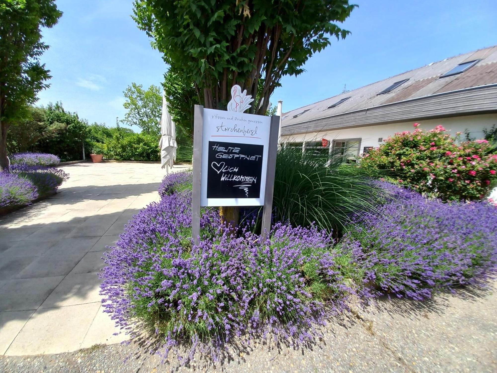 Storchencamp Gaestehaus Purbach Purbach am Neusiedlersee Exterior photo