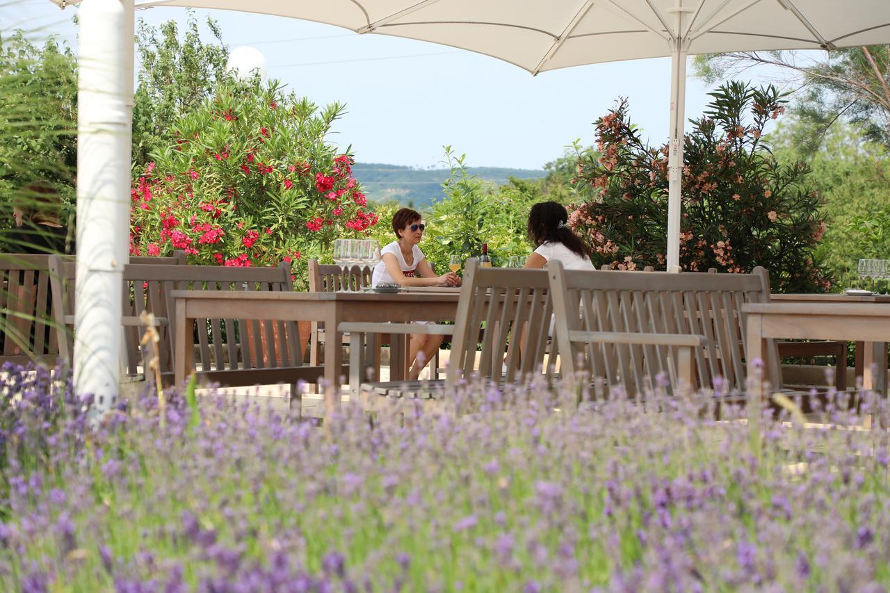 Storchencamp Gaestehaus Purbach Purbach am Neusiedlersee Exterior photo